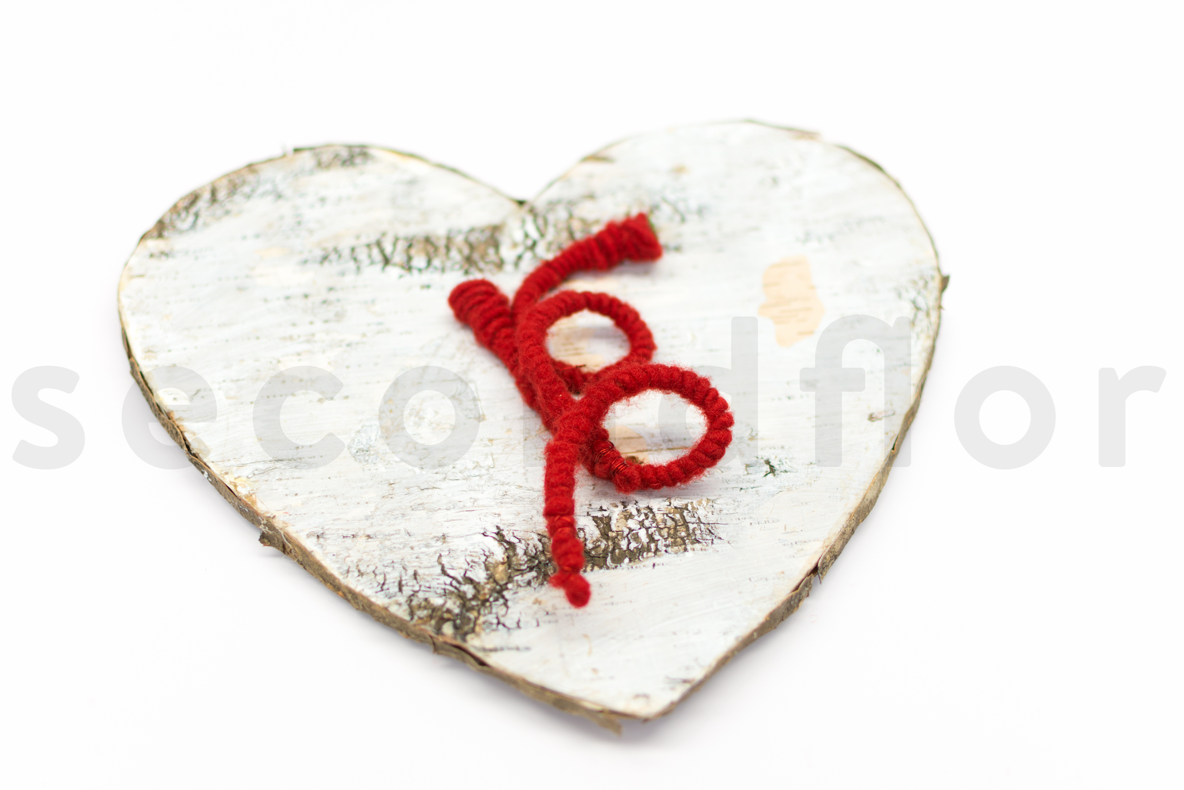 SN-Coeur de roses-9761