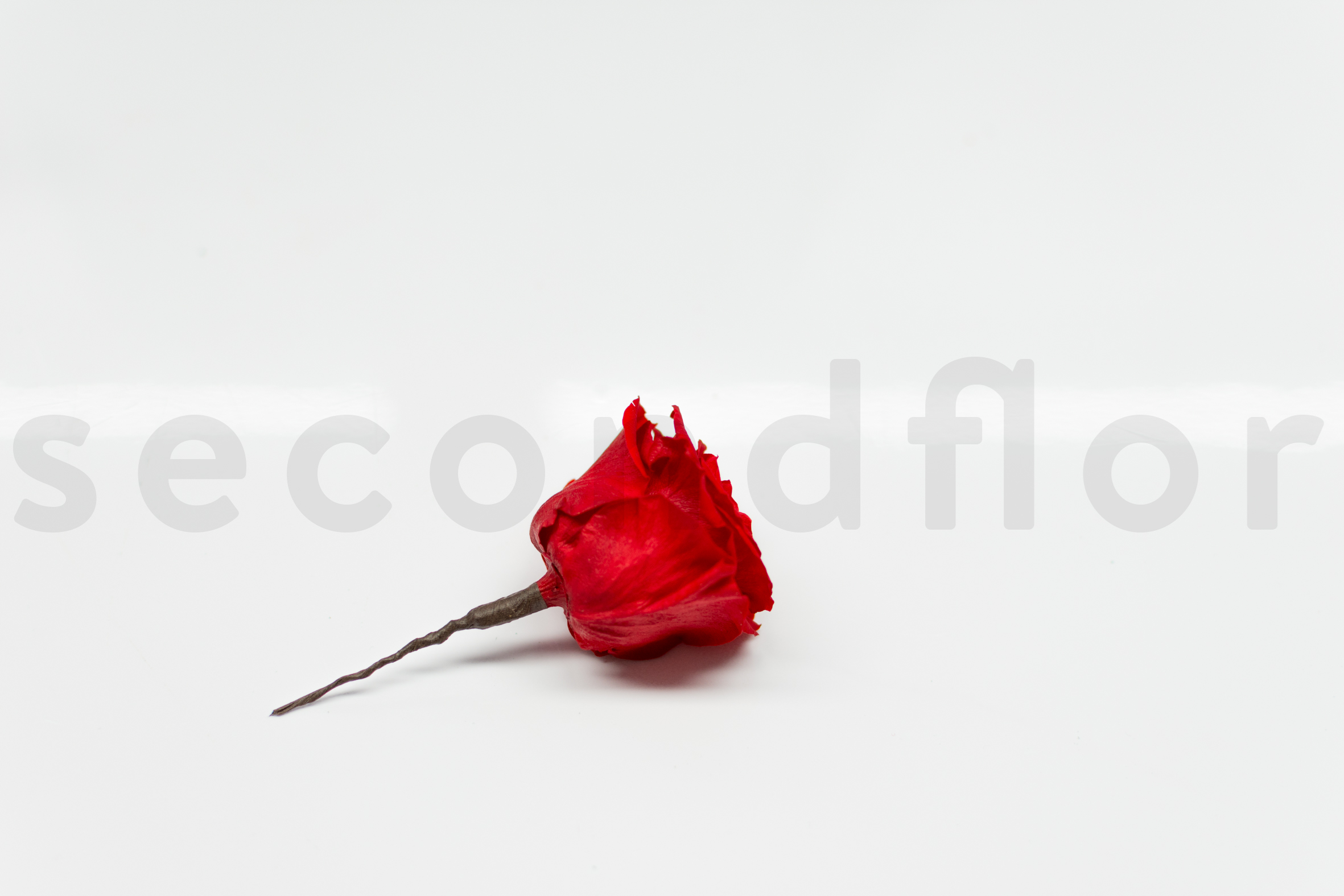 SN-DIY-Rose en cube-step6-9960