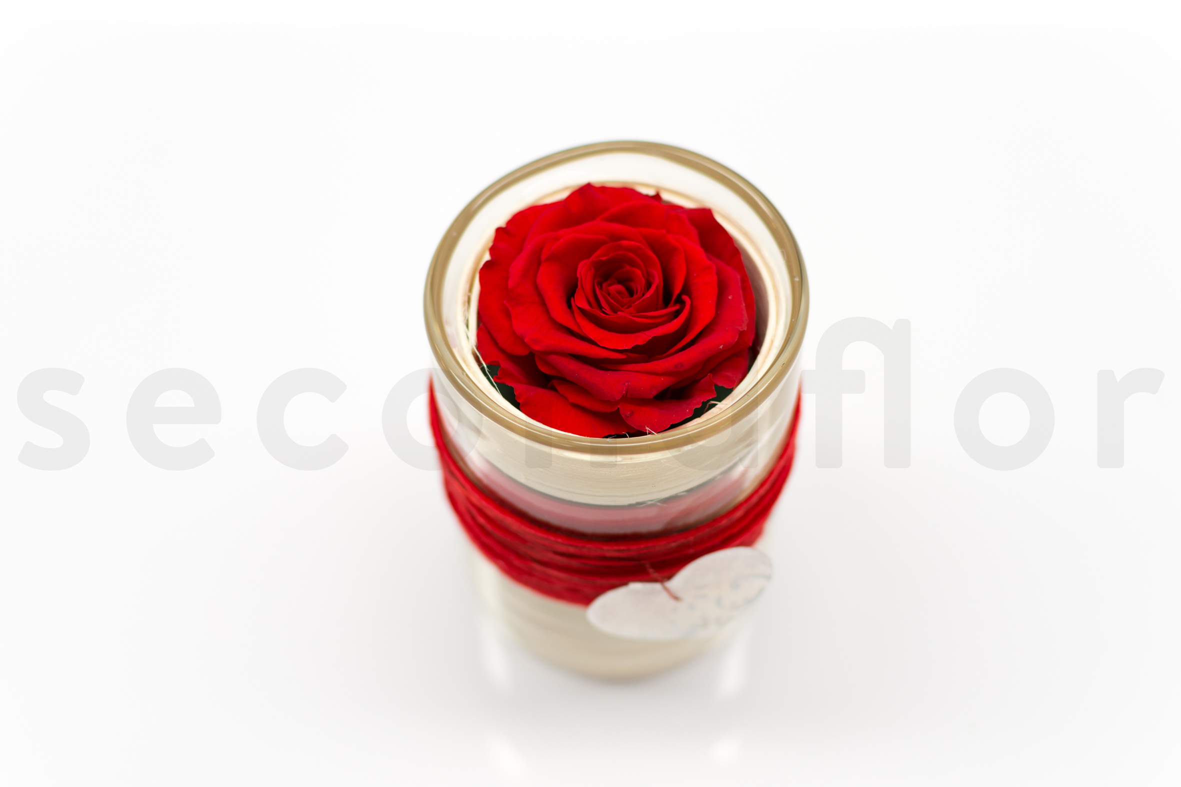 SN-DIY_Rose sous-Verre-étape finale3