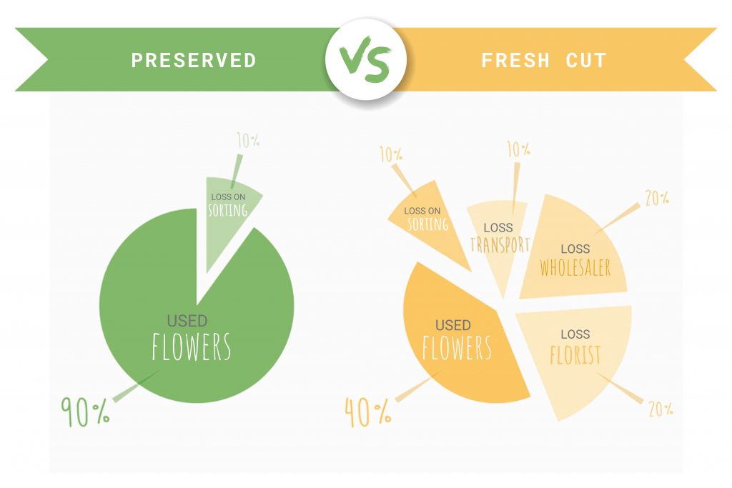 the eco-friendly transport of preserved flowers