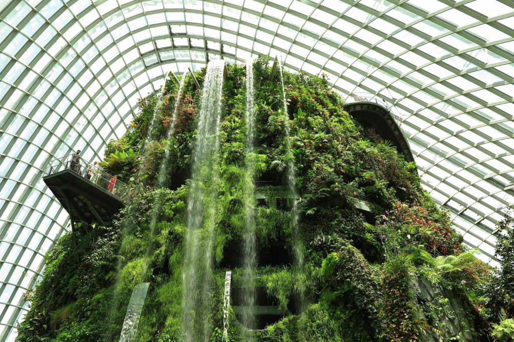 gardens by the bay jour végétaux plant days