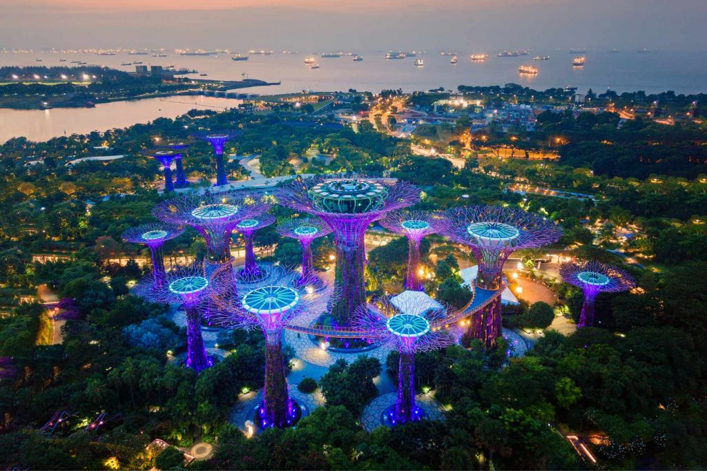 gardens by the bay nuit