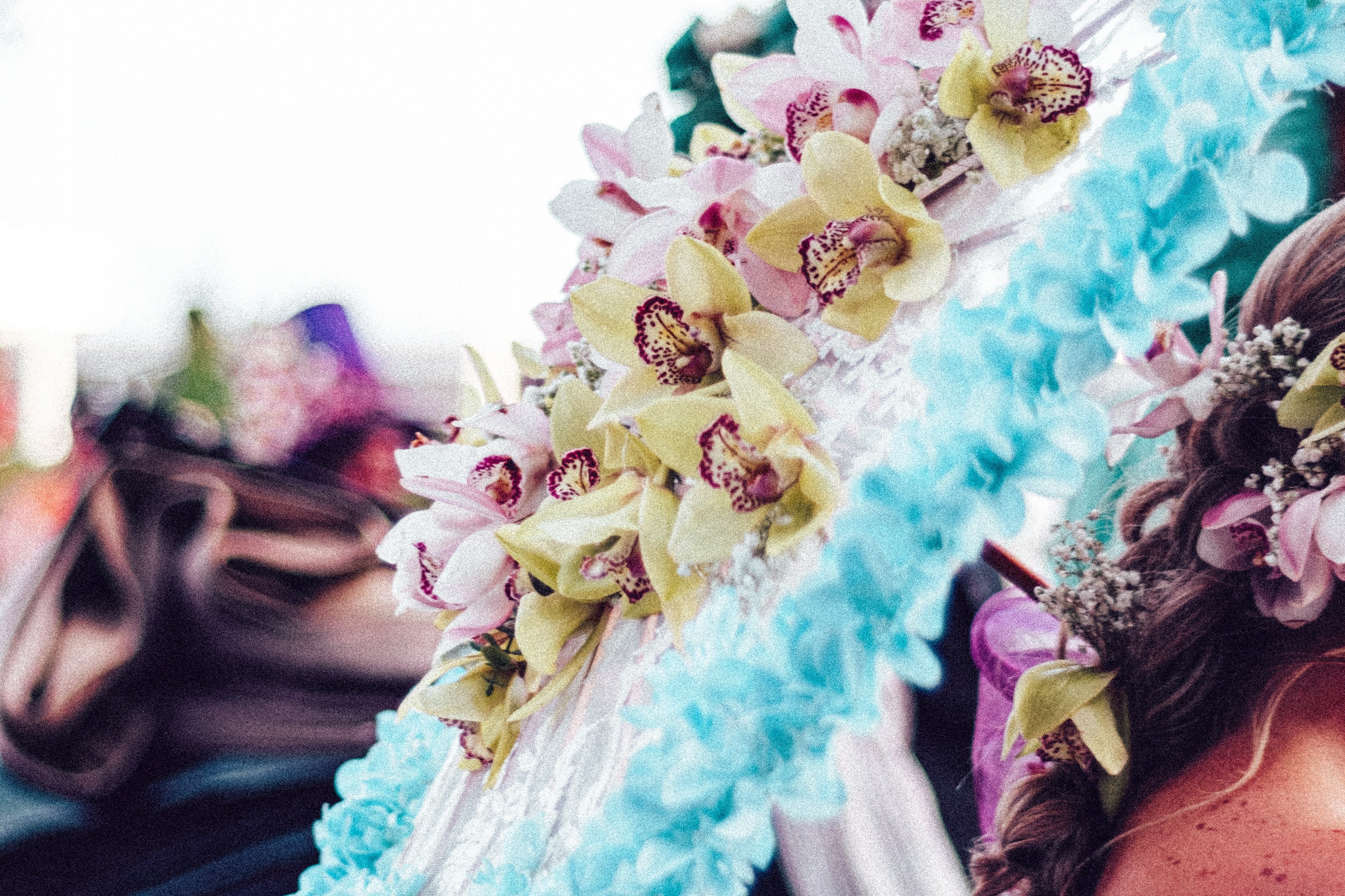 fleurs chars madere