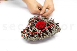 diy coeur avec rose rouge diy pour les professionnels du stabilise