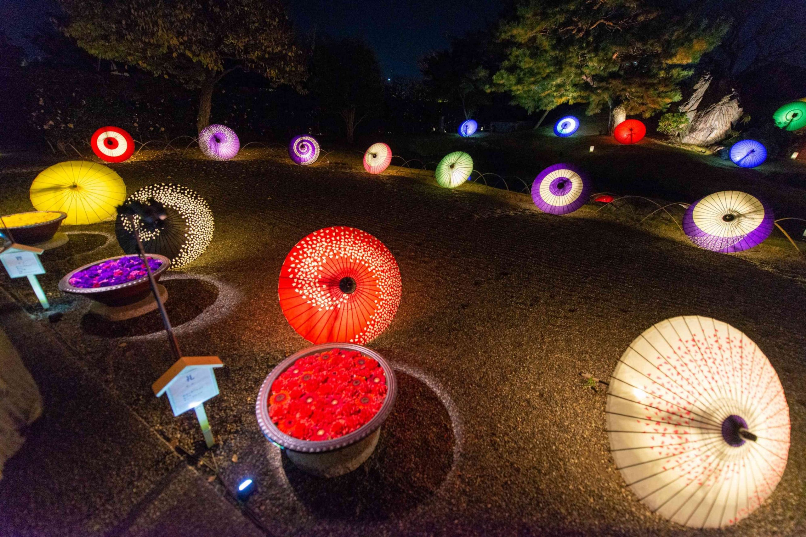 floral night show in ashikaga park flower box