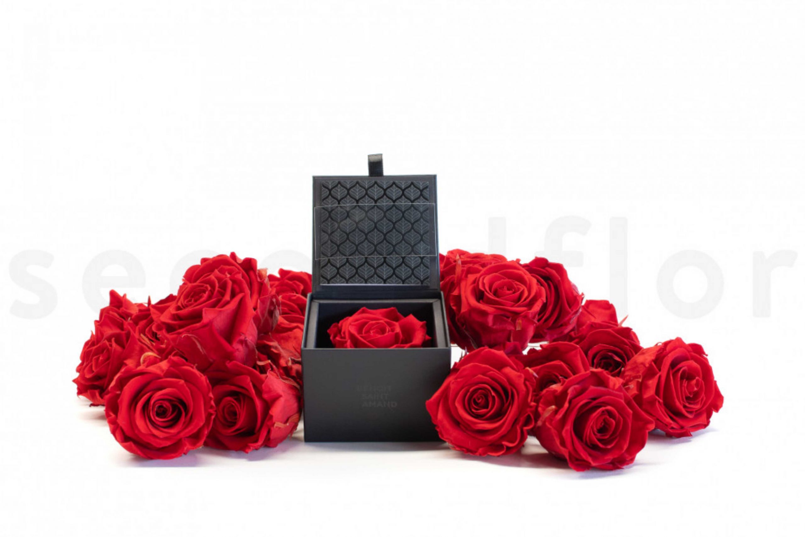 2-UN-SECRET-PAR-BENOIT-SAINT-AMAND-ROSE-ROUGE-pour-la-saint-valentin-scaled.jpg