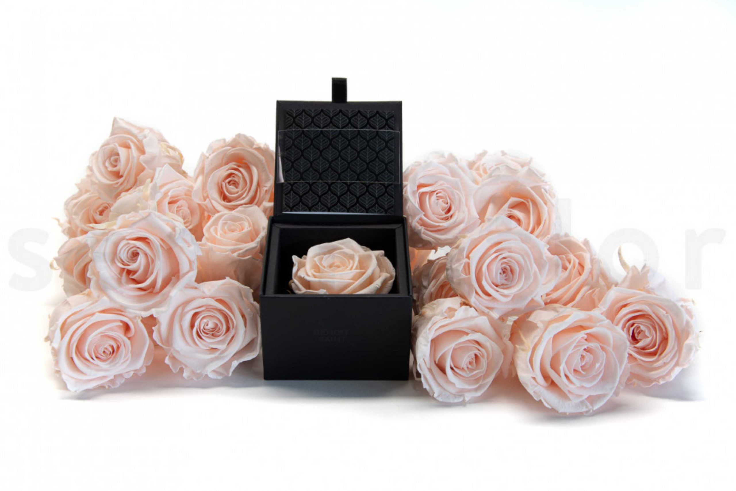 3-UN-SECRET-PAR-BENOIT-SAINT-AMAND-ROSE-pour-la-saint-valentin-scaled.jpg