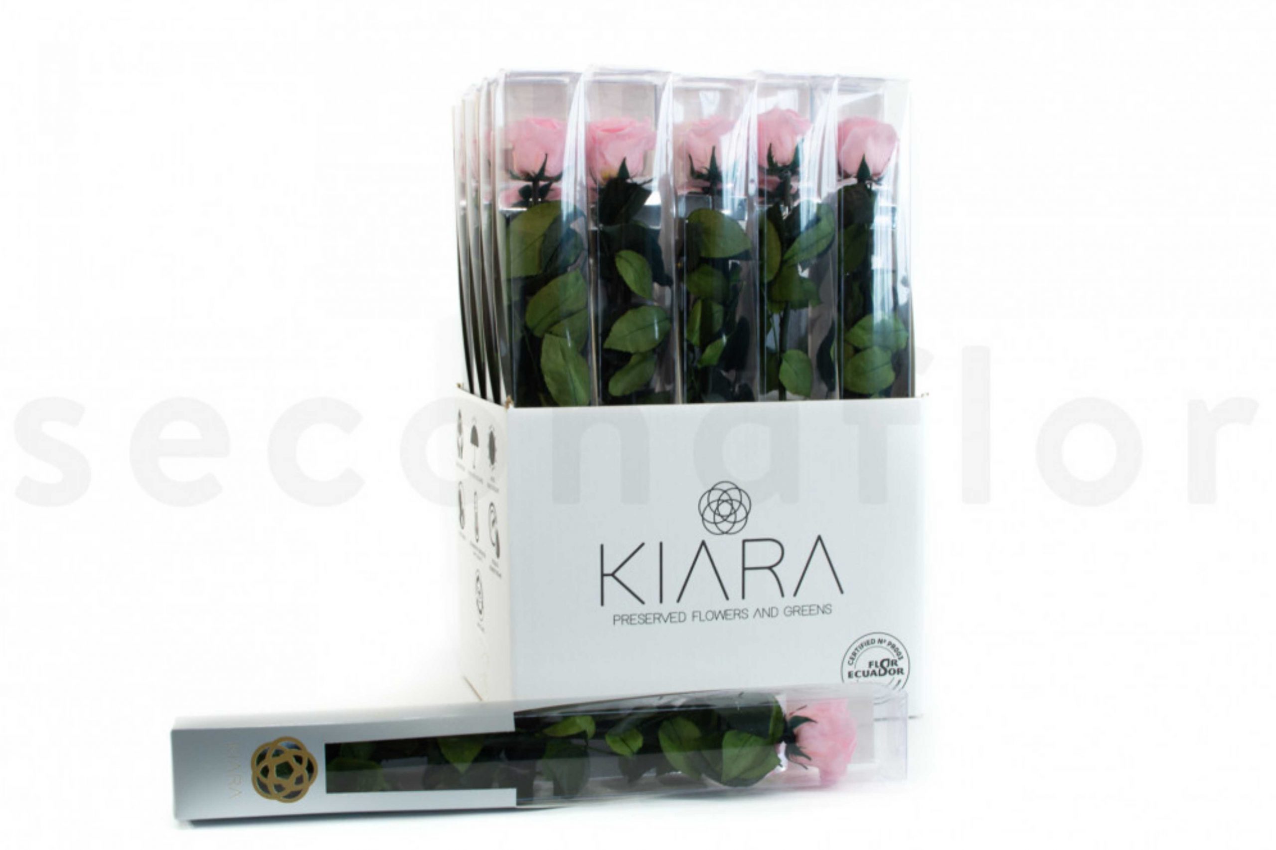 5-ROSES-SUR-TIGE-STABILISEES-LUXE-50CM-GIFT-BOX-20-UNITES-Rose-commercants-saint-valentin-scaled.jpg