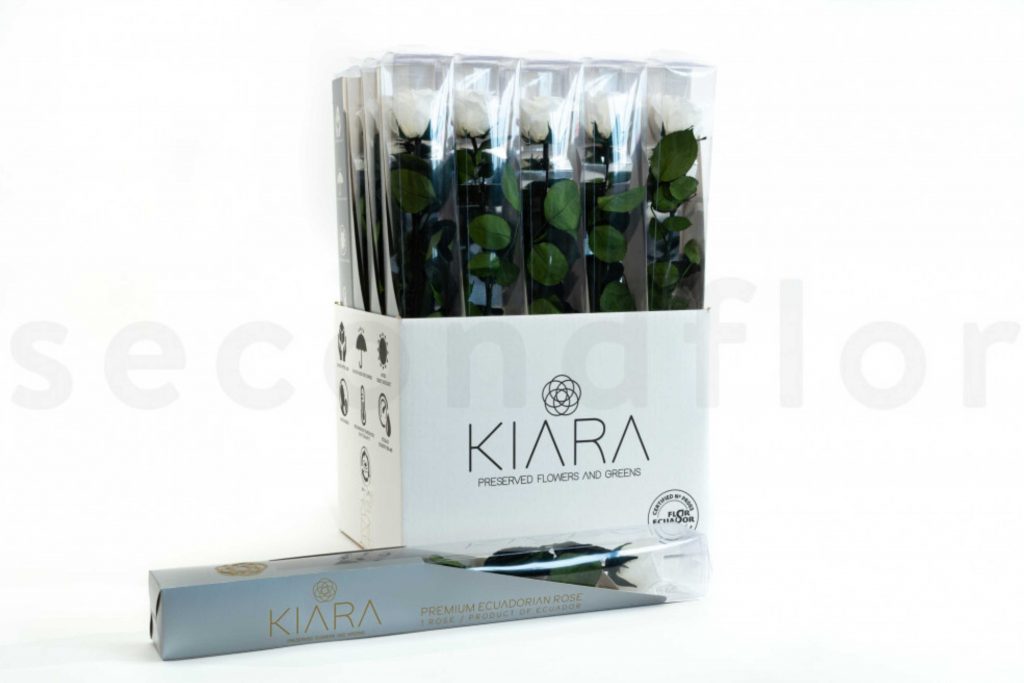 roses sur tiges kiara blanche ideal pour faire des ventes additionnelles lors de fetes commerciales