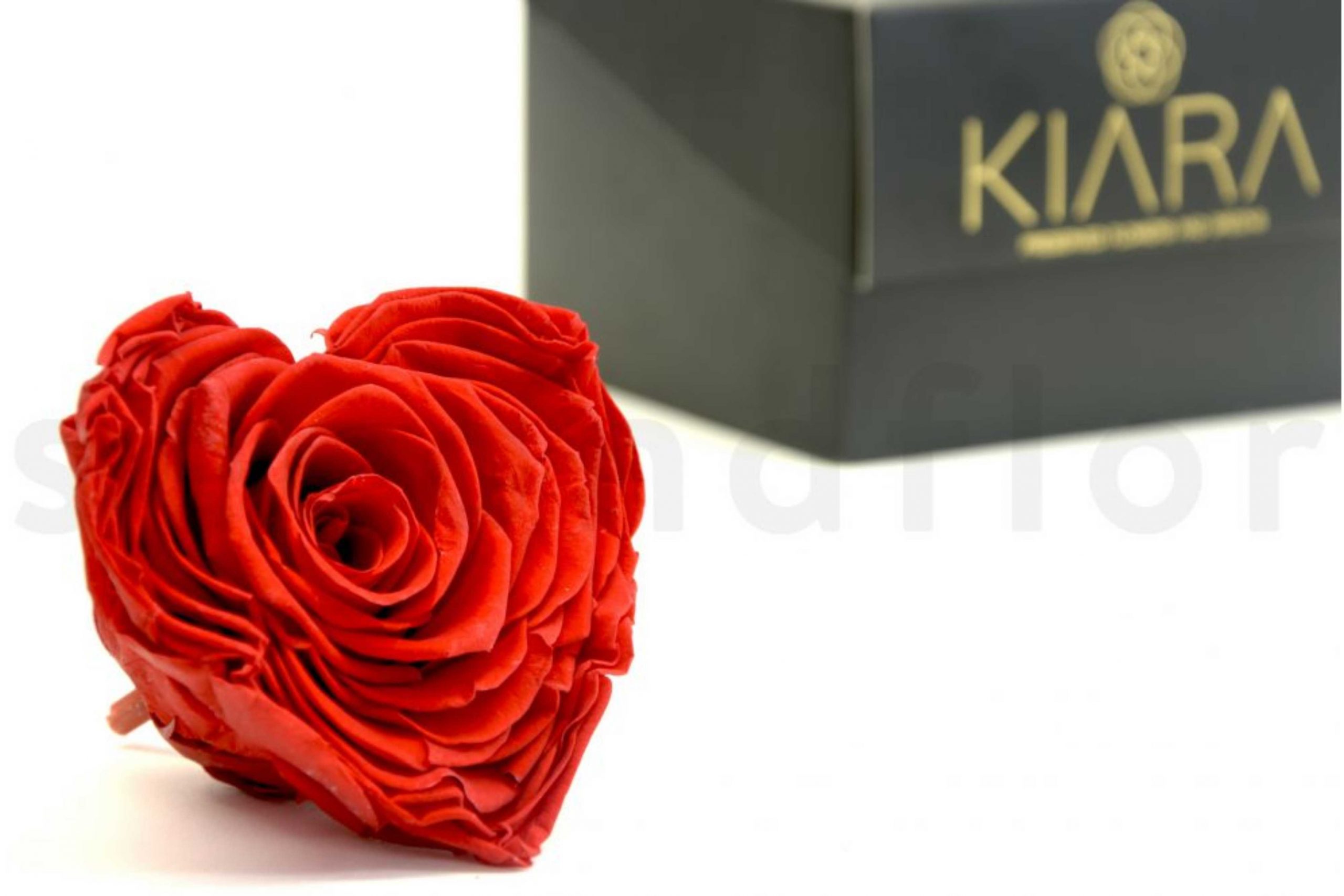 9-ROSE-COEUR-STABILISEE-KIARA-XXL-VIBRANT-RED-pour-la-saint-valentin-scaled.jpg