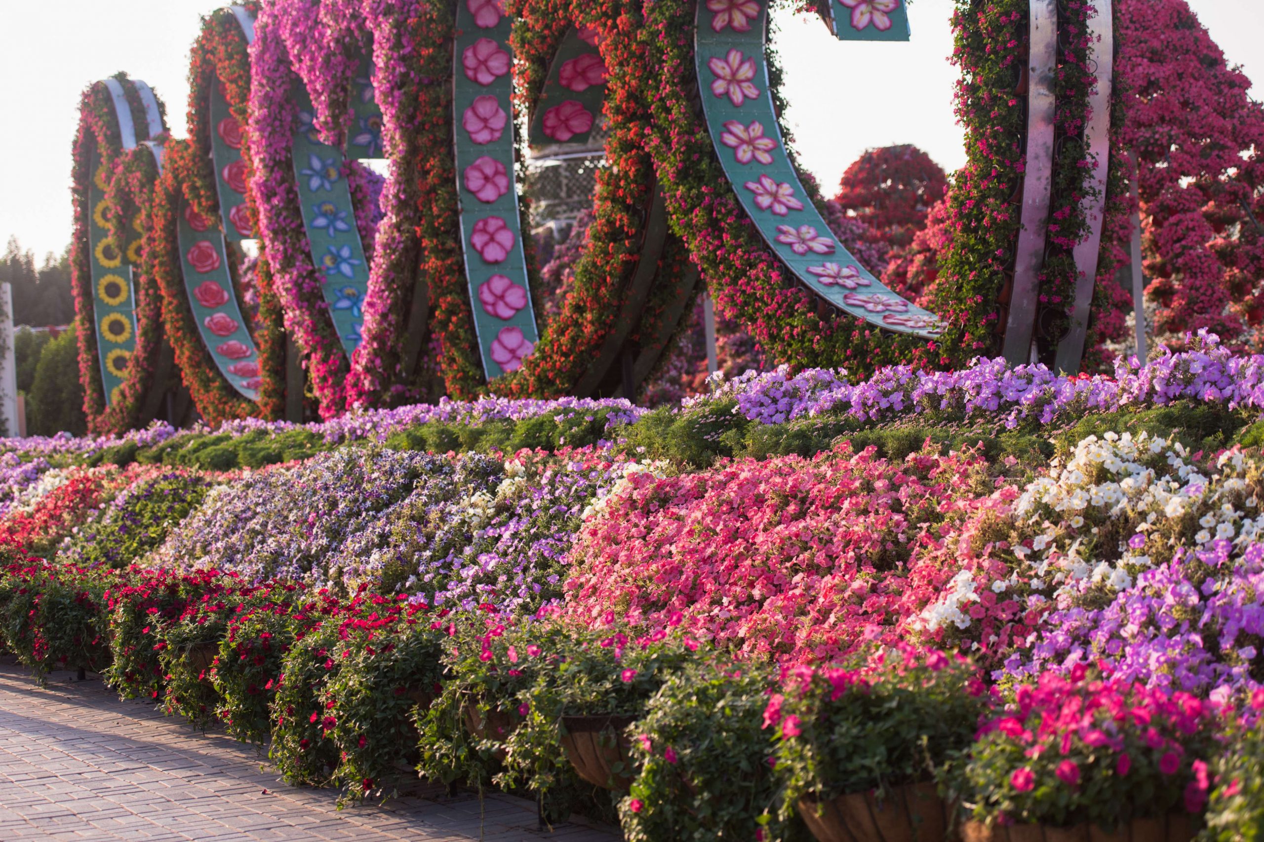 Miracle garden blog dubai