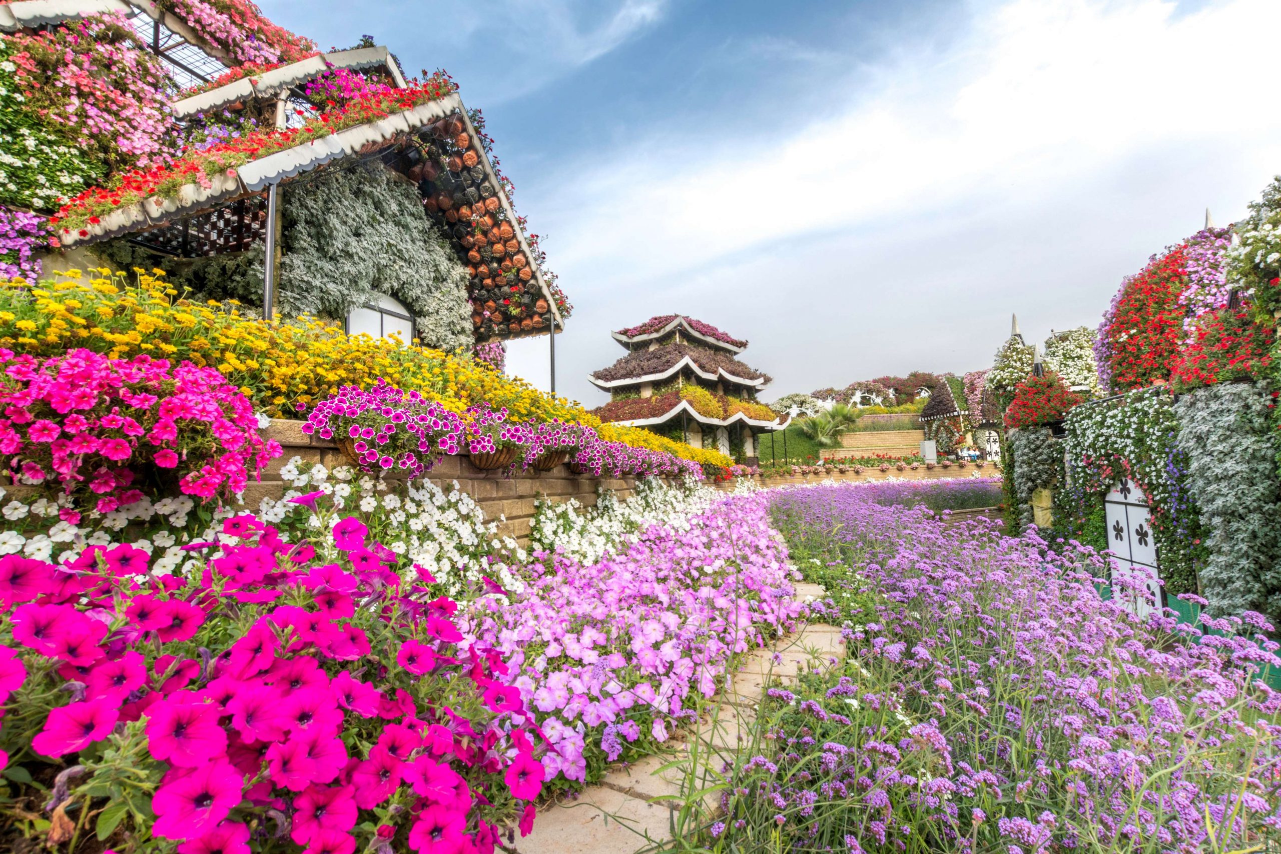 Flower home miracle garden Dubai