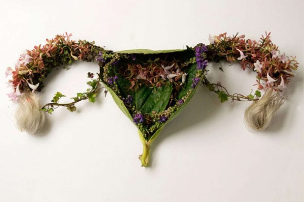 uterus en fleurs stabilisées uterus in stabilised flowers 