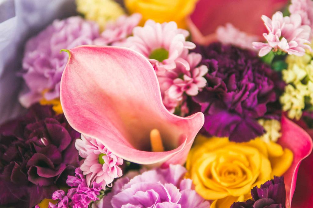 calla lily corail dans bouquet