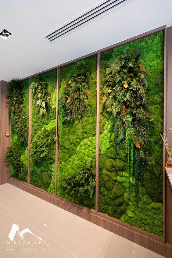 Mur végétal stabilisé divisé en 4 parties avec de la mousse boule et du feuillage vert Stabilised plant wall divided into 4 sections with ball moss and green foliage