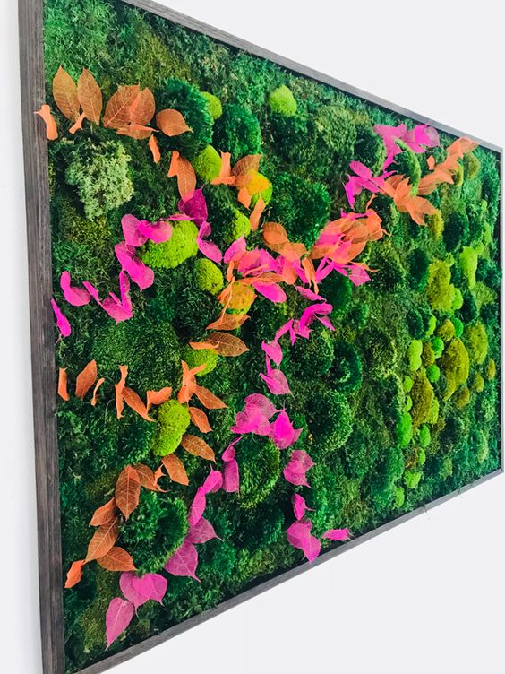cadre végétal coloré avec des feuilles oranges et fuchsia ainsi que de la mousse stabilisée verte colourful plant frame with orange and fuchsia leaves and green stabilised moss