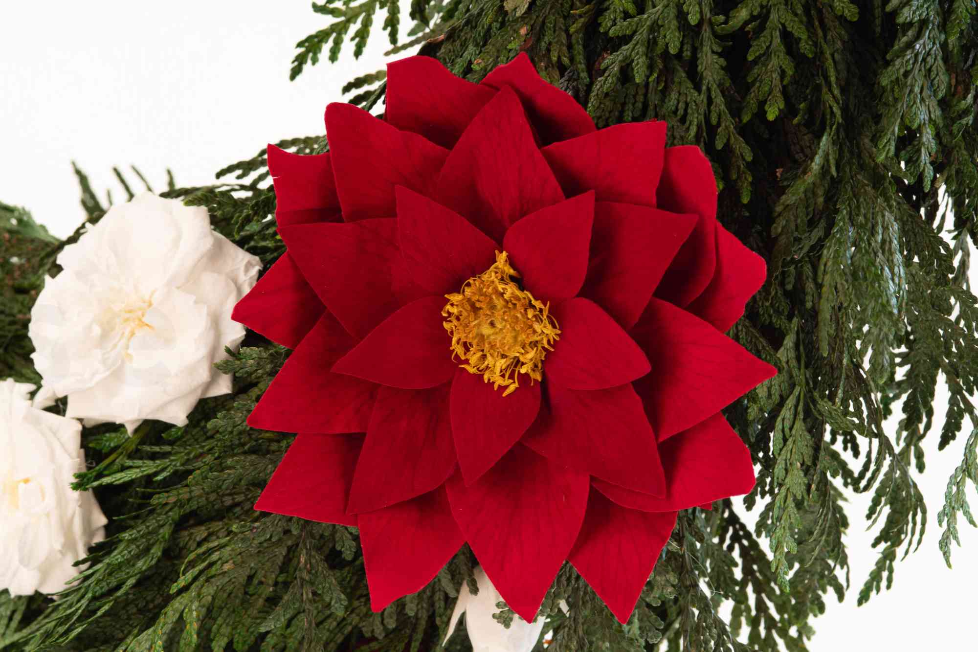 poinsettia sur couronne de noel