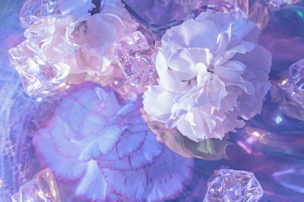tendance provenant de pinterest auradieuse avec des fleurs tendances 2025 dans des teintes holographiques tendnace from pinterest auradieuse with trendy 2025 flowers in holographic shades
