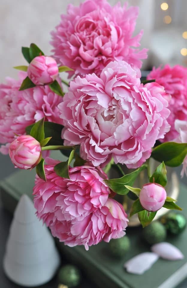 pivoines roses, pink peonies