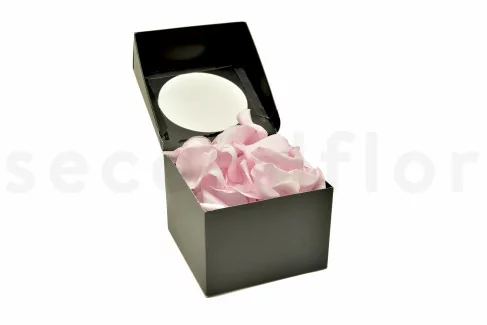 Petali di rosa stabilizzati Kiara - Bridal Pink