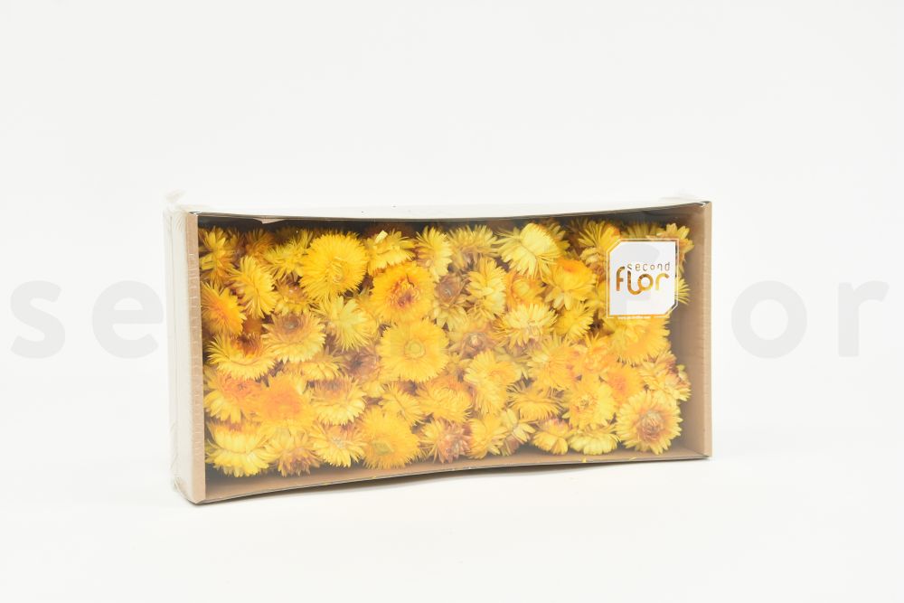 Cabeza de Helichrysum seca - Caja de 100gr - Amarillo