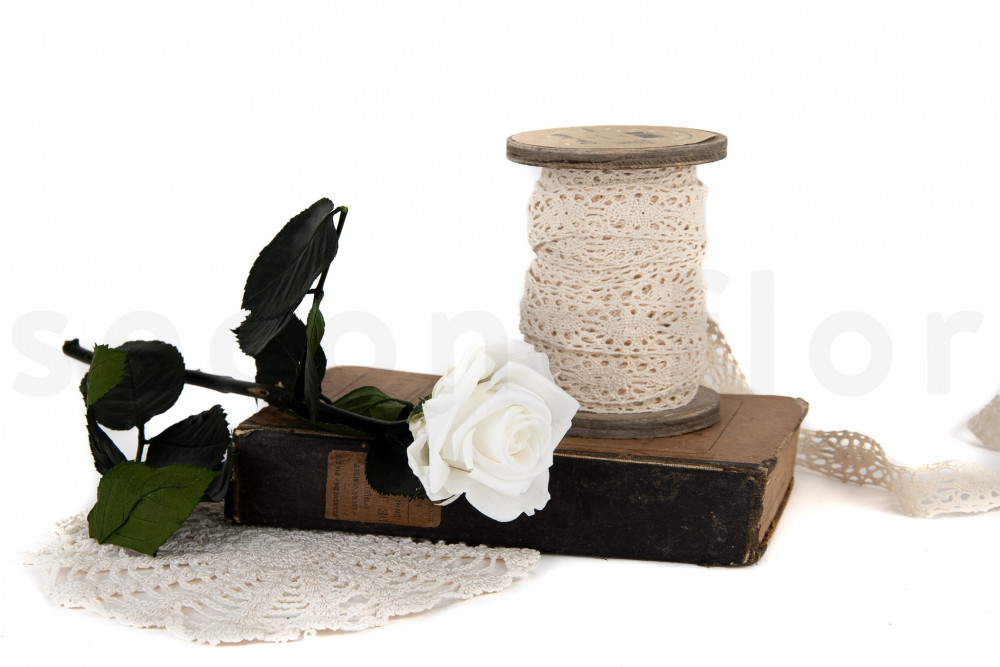 Rosas estabilizadas con tallo 30 cm - Gift Box 25 unidades - Blanco